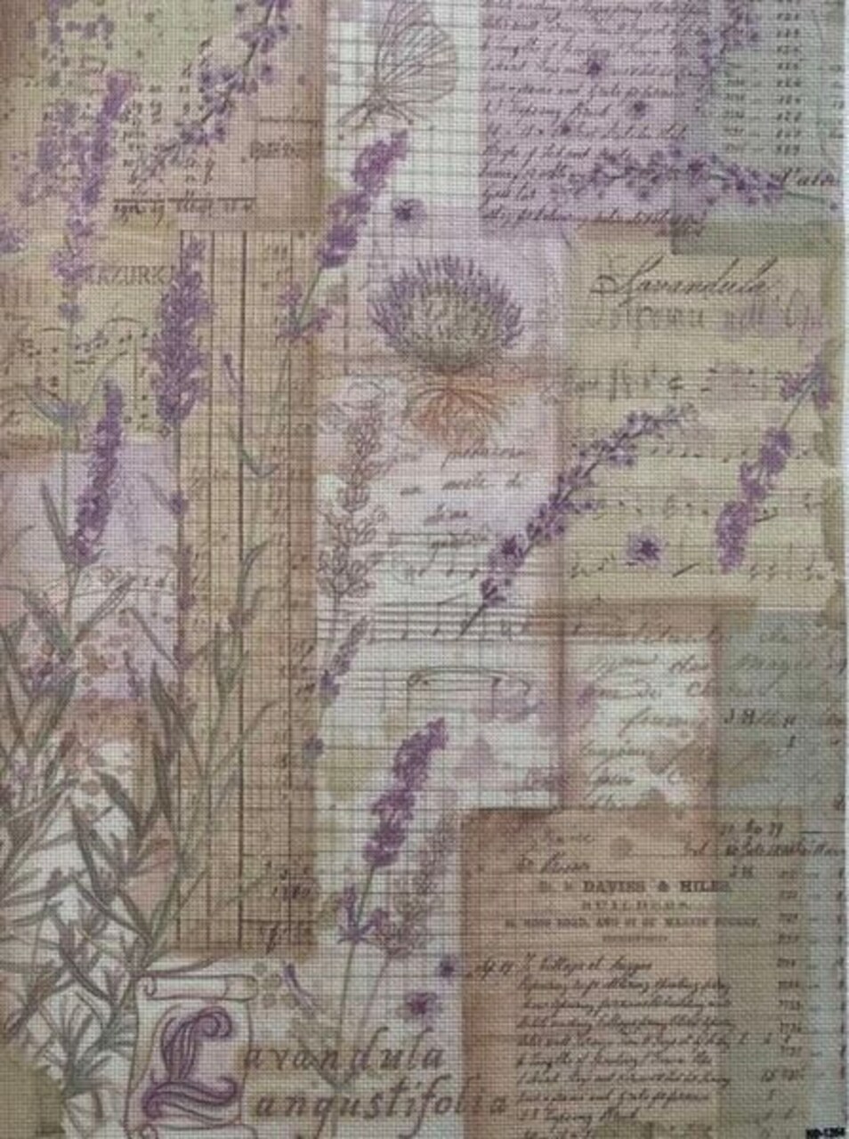 Vintage Echo Designer Printed AIDA Fabric. Canvas for embroidery with an applied background KF-1264A